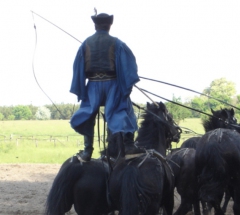Budapest - Geschichte pur an der Donau